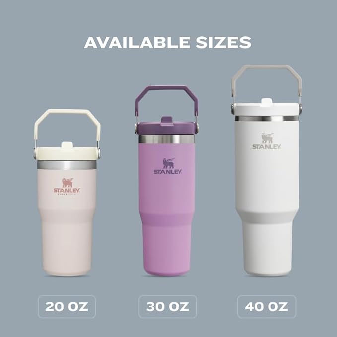 STANLEY IceFlow 2.0 Flip Straw Tumbler with Handle 20 oz | Twist On Lid and Flip Up Straw | Leakproof Water Bottle | Insulated Stainless Steel | BPA-Free | Meadow