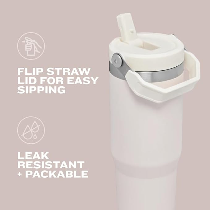 STANLEY IceFlow Flip Straw Tumbler with Handle 20 oz | Twist On Lid and Flip Up Straw | Leak Resistant Water Bottle | Insulated Stainless Steel |BPA-Free | Polar