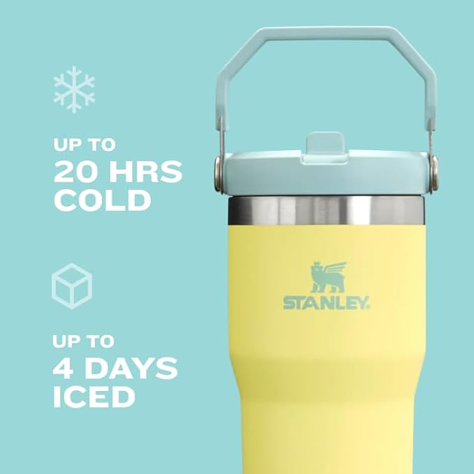 STANLEY IceFlow 2.0 Flip Straw Tumbler with Handle 20 oz | Twist On Lid and Flip Up Straw | Leakproof Water Bottle | Insulated Stainless Steel | BPA-Free | Meadow