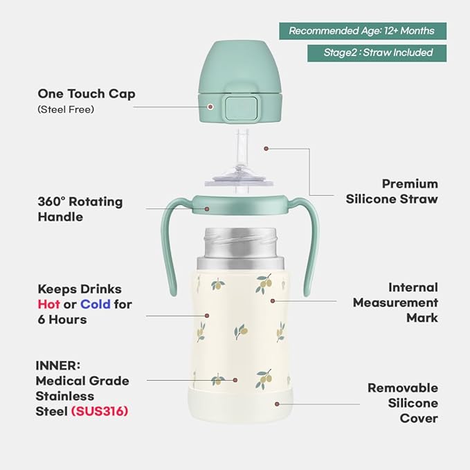 GROSMIMI Insulated 316 Stainless Steel Spill Proof Straw Cup, Water bottle with Flip Top for Toddlers, BPA Free (air balloon, 6oz)