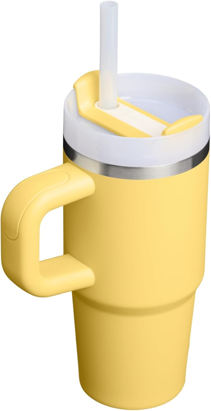 STANLEY Quencher H2.0 Tumbler with Handle and Straw 14 oz | Flowstate 3-Position Lid | Cup Holder Compatible for Travel | Insulated Stainless Steel Cup | BPA-Free | Daffodil