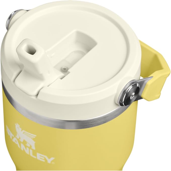 STANLEY IceFlow 2.0 Flip Straw Tumbler with Handle 20 oz | Twist On Lid and Flip Up Straw | Leakproof Water Bottle | Insulated Stainless Steel | BPA-Free | Daffodil