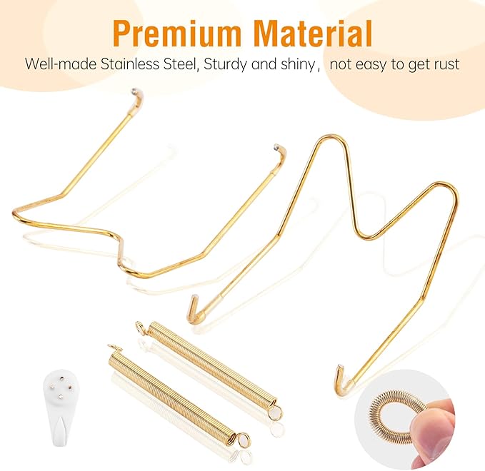 Bilillo 20 pcs Plate Hangers for The Wall, 4/6/8/10 Inch Invisible Decorative Wall Plates Hangers, Stainless Steel Plate Wall Holders for Display Various Sizes with Hooks for Decorative