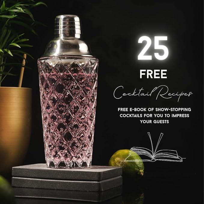 Nikita Cocktail Shaker, 5-Piece Martini Shaker & Bartender Kit with Bar Accessories Strainer, Jigger, Spoon & Muddler, Silver 16oz Drink Mixer with Bartender Accessories
