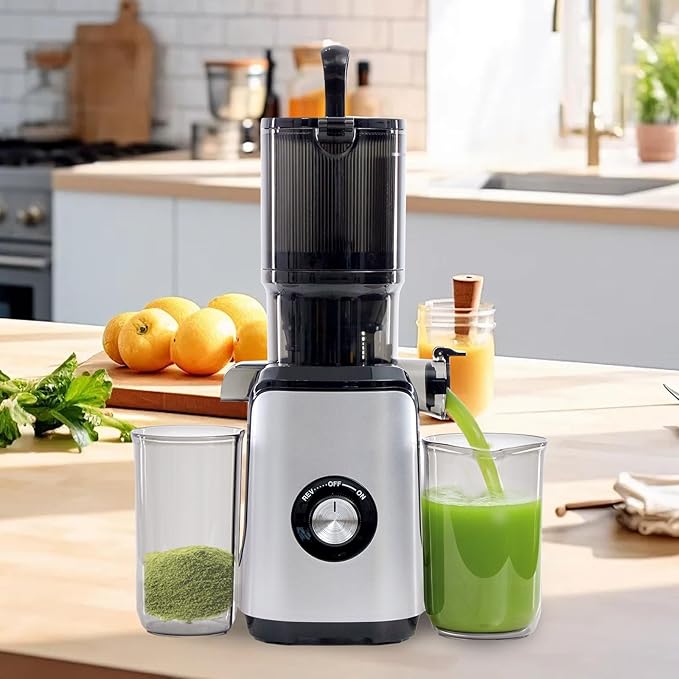 NEWBULIG Cold Press Juicer Machines, Masticating Juicer with High Juice Yield, Reverse Function, Stops Oxidation and Easy to Clean for Vegetables & Fruits, Silver