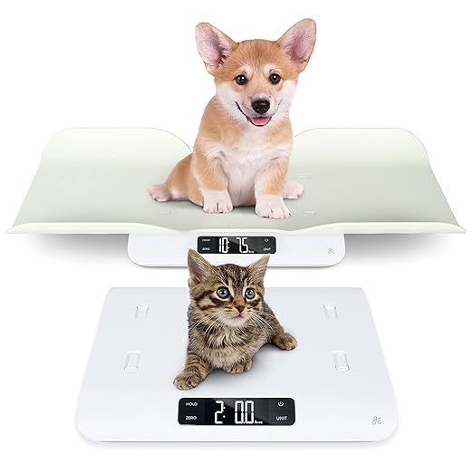 Greater Goods Essential Kitchen Scale and Healthy Paws Pet Scale