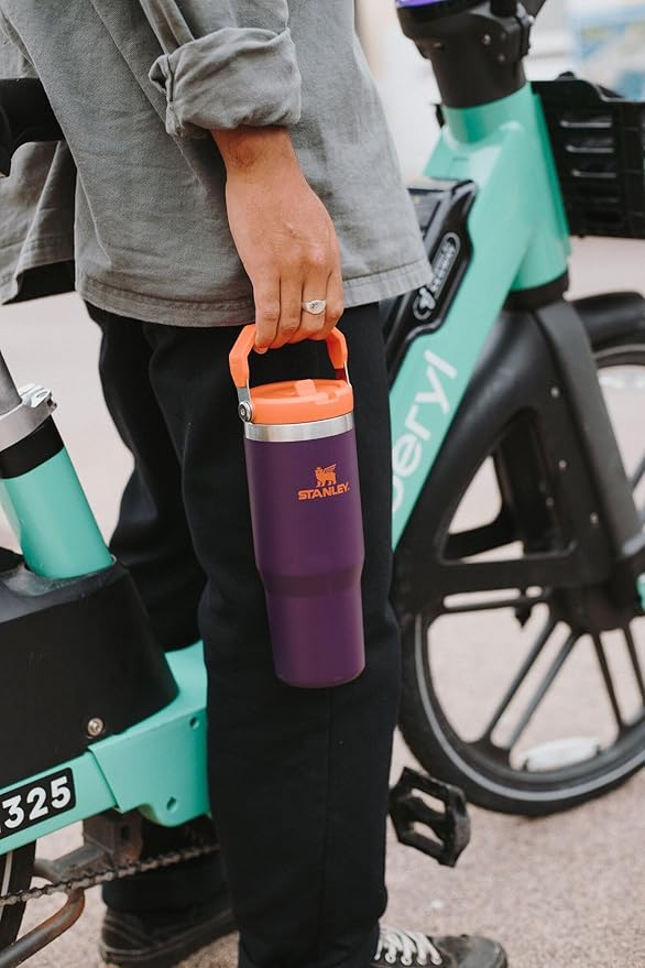 STANLEY IceFlow 2.0 Flip Straw Tumbler with Handle 14 oz | Twist On Lid and Flip Up Straw | Leakproof Water Bottle | Insulated Stainless Steel | BPA-Free | Spring Green