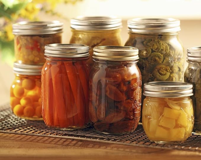 Dalzom® 24Pcs Canning Lids with 24Pcs Rings Regular Mouth, Premium Mason Jar Lids with Bands/Rings for Ball, Kerr Jars - Food Grade Material, 100% Fit & Airtight for Regular Mouth Mason Jars