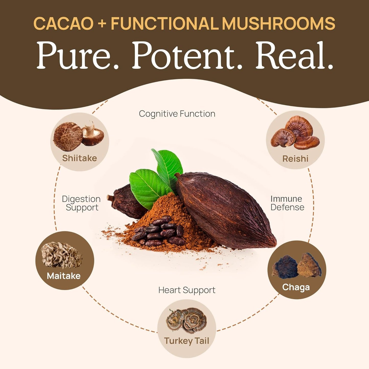 Real Mushrooms Unsweetened Hot Chocolate Mix with 5 Defenders – Reishi, Chaga, Turkey Tail, Maitake, Shiitake – Coco Powdered Unsweetened – Organic Cacao Powder Supplement, Vegan, 15 Servings