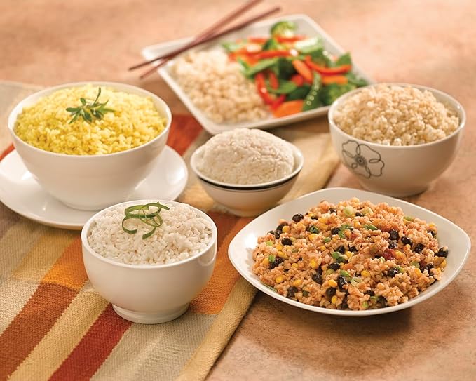 Hamilton Beach Ensemble 20 Cup Capacity Rice Cooker 37538H