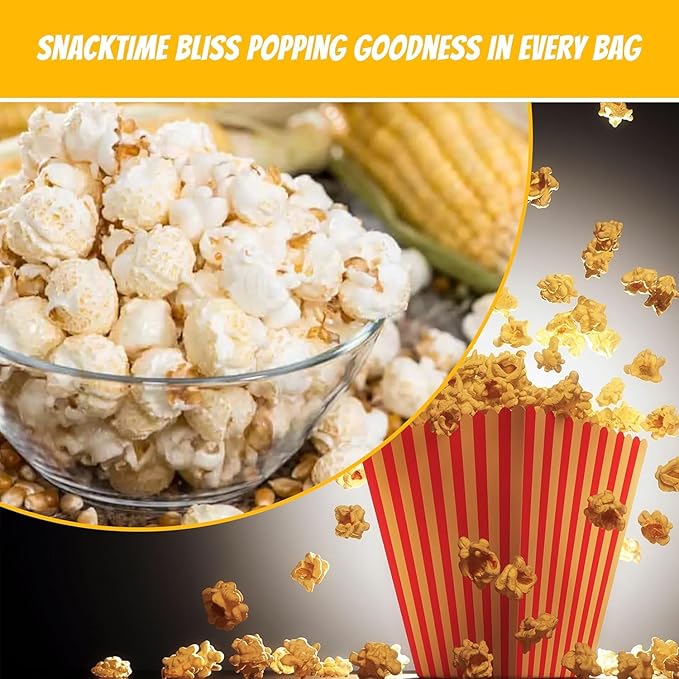 16oz Popcorn Portion Packs with Premeasured Salt and Oil- Package of 3ct