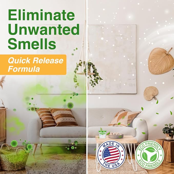 Biocide Systems Room Shocker Strong Odor Eliminator for Home & Office, Eco-Friendly Chlorine Dioxide Odor Bomb for House Interior Up to 400 Square Feet of Floor Space (2-Pack)