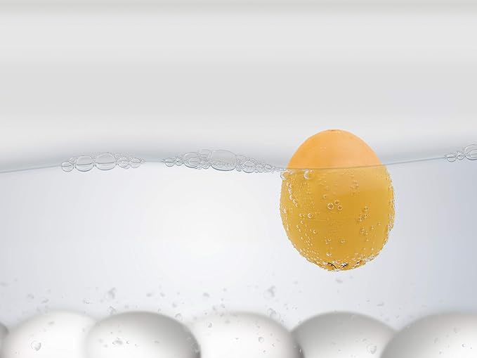 BrainStream BeepEgg Basic Egg Timer - Plays Tunes When Eggs are Ready, Works with Any Egg Size, Temperature-Sensitive for Precise Cooking, Made in Germany, Fun Kitchen Essential (Green)