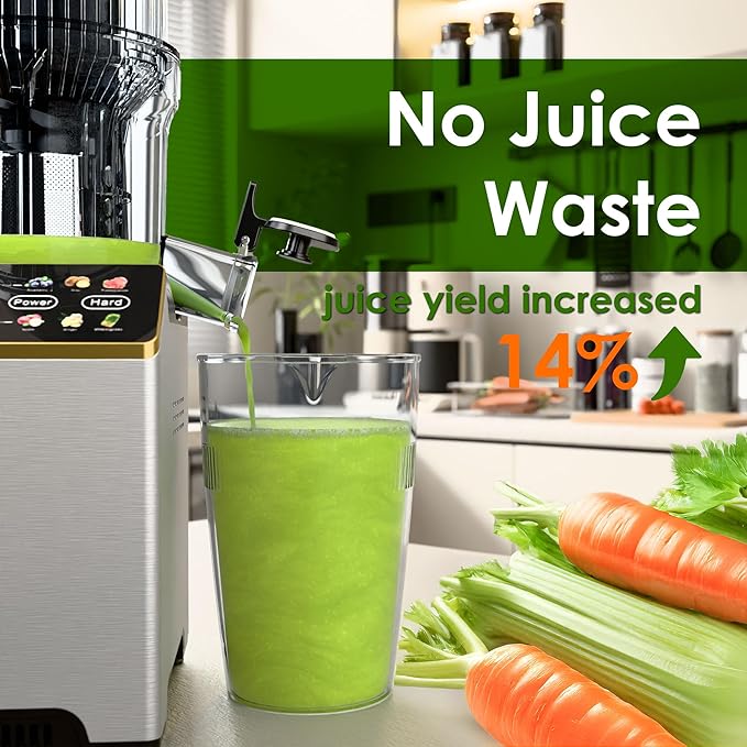 Cold Press Juicer, Touchscreen Juicer Machines with Wide Feed Chute, Stainless Steel Masticating Juicers Easy to Clean, Ergonomic Operational Panel Design, High Juice Yield, Gray