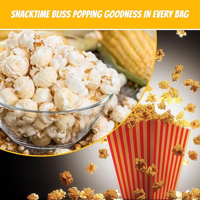 10.6 Oz Popcorn Portion Packs - Package of 6ct