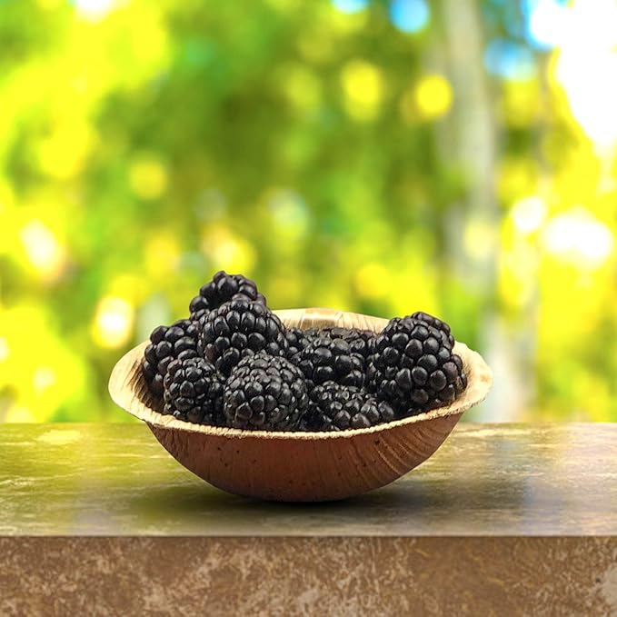 Raj Disposable Palm Leaf Bowls (25 Count, 4" Bowls) Strong Bowl Like Bamboo Party Bowl - Decorative Compostable Tableware for Lunch, Dinner, Birthday, Camping, Outdoor, Picnic, Parties