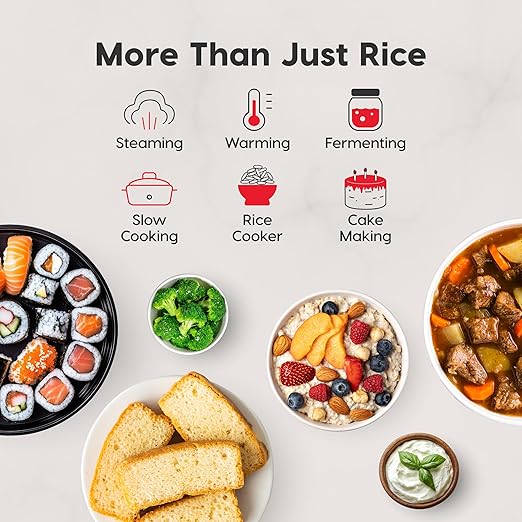 IRIS USA Micom Japanese Rice Cooker, 5-Cup Uncooked/10-Cup Cooked, Fuzzy Logic Kitchen Appliance with Recipe Presets, Slow Cooker, Steamer, Hot Pot & Warming Function, Compact & Portable for Healthy Meal Prep
