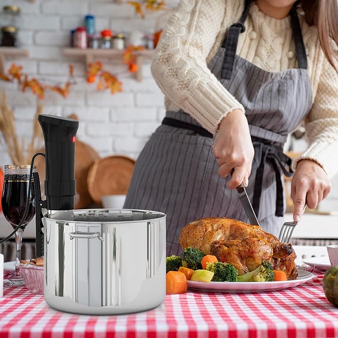 APQ Sous Vide Cooker 1100W, Professional Thermal Immersion Circulator Cooker with Adjustable Clamp, Sous Vide Machines with Temperature/Digital Timer, Ultra Quiet Sous Vide Precision Cooker