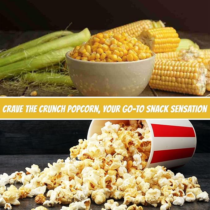 16oz Popcorn Portion Packs with Premeasured Salt and Oil- Package of 3ct