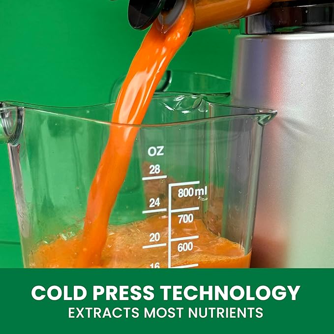 Omega Juicer Cold Press 365 Vertical 65 RPM Slow Masticating Compact Extractor for Fruits and Vegetables with 3 Stage Auger & BPA-Free Container, 150-Watts, Silver