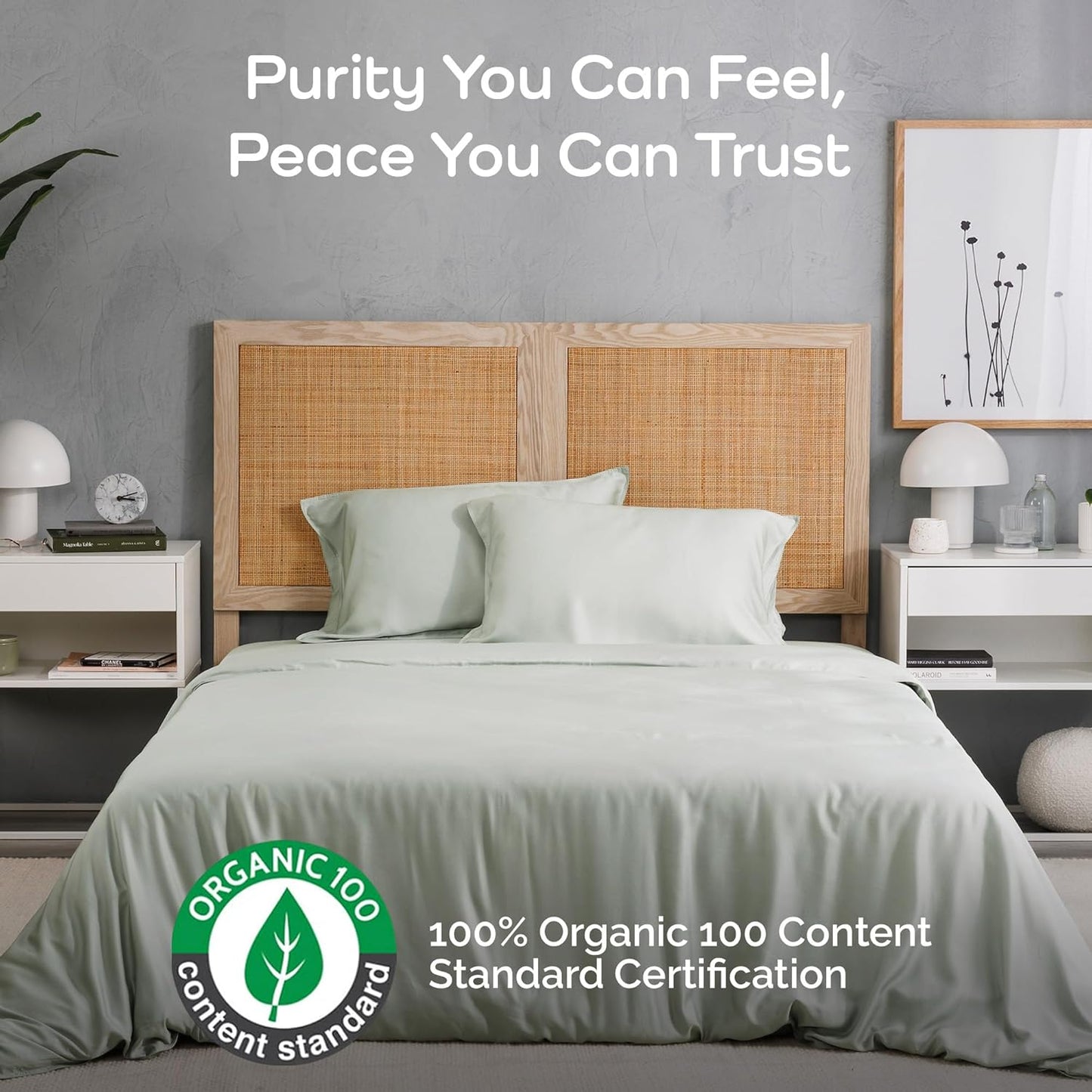 100% Viscose from Bamboo Sheets Queen Size, Super Soft Bedding Set, 4PC Cooling Sheets for Hot Sleepers, Vegan Silk Moisture Wicking, Organically Grown Bedsheet, Sage - 60" x 80"