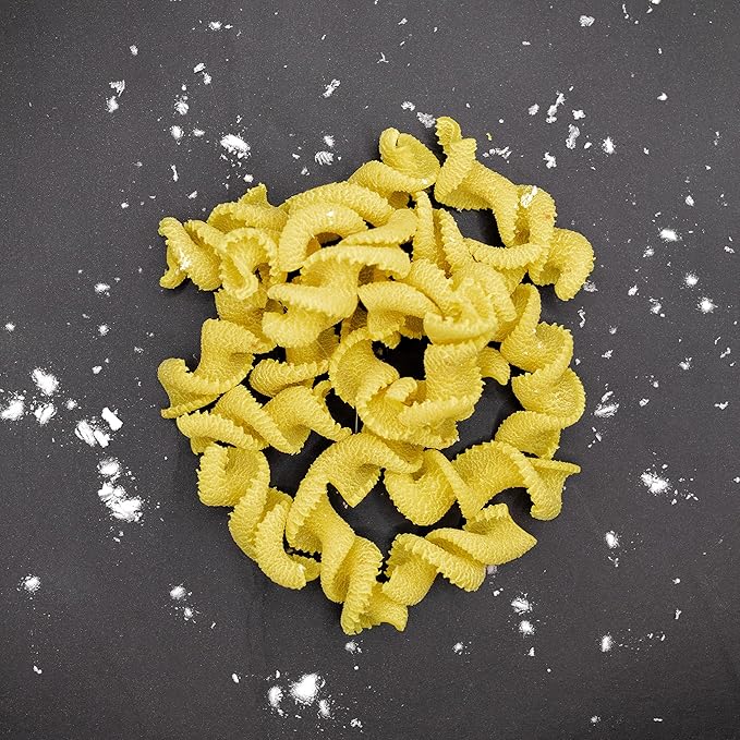 Rotini Pasta Shape Discs Fit For Philips Automatic Pasta & Noodle Maker, Philips Pasta Maker Attachments, Kitchen Appliances, Accessory Kit (Rotini)